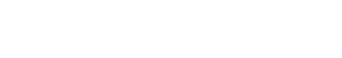 安徽龍華化工股份有限公司企業(yè)年度報告